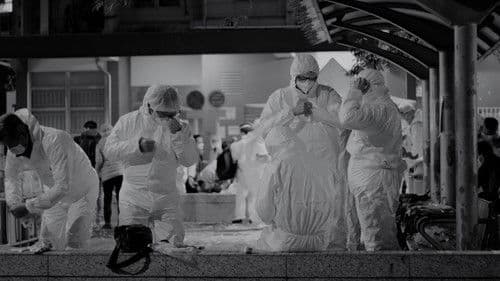 四月的變奏 Bild 4