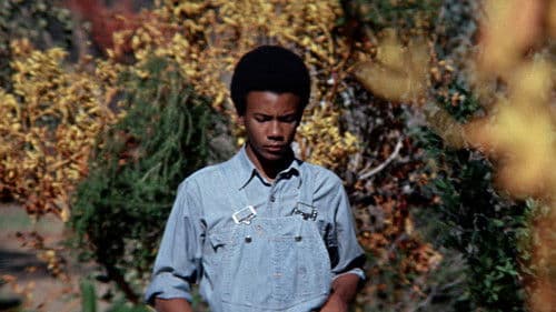 The Learning Tree Bild 8