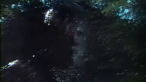 The World Beyond Bild 3