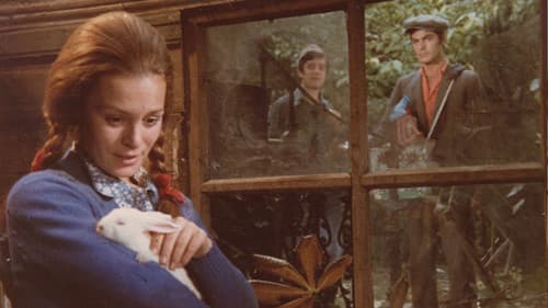 Üç Arkadaş Bild 1