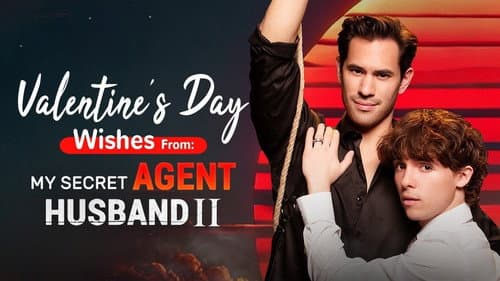 My Secret Agent Husband Bild 1