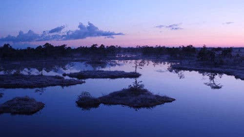 Tuulte tahutud maa Bild 3