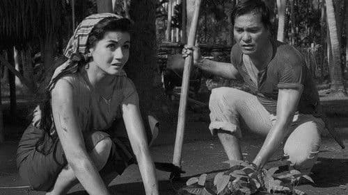 Biyaya ng Lupa Bild 2