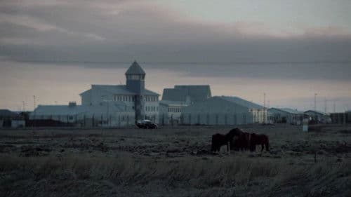 Die Knastschicht Bild 1