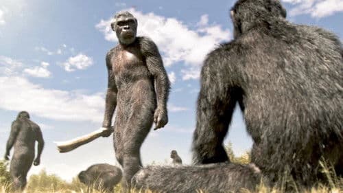 Out of the Cradle Bild 2