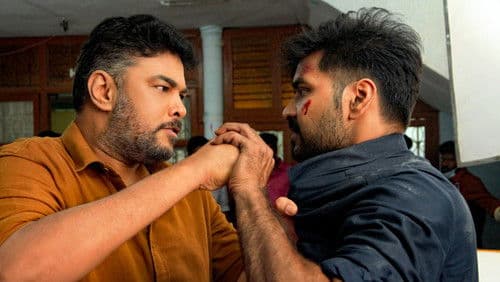 பட்டாம்பூச்சி Bild 3