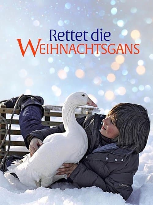Rettet die Weihnachtsgans