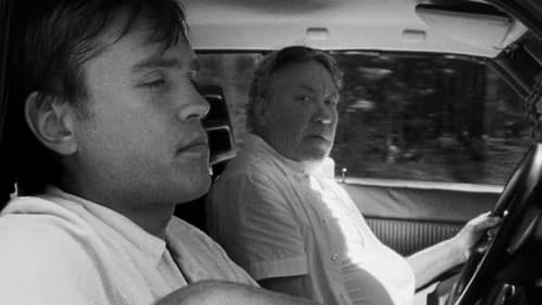 Kräftor & Tennsoldater Bild 1