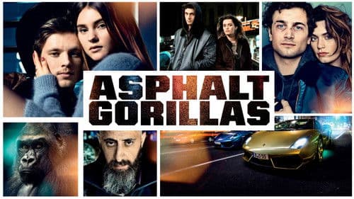 Asphaltgorillas Bild 2