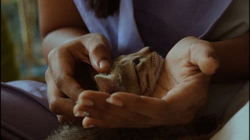 Lemons Are Not Sour Bild 7