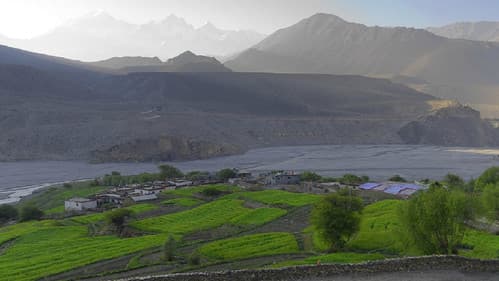 Blue Kangling Bild 1