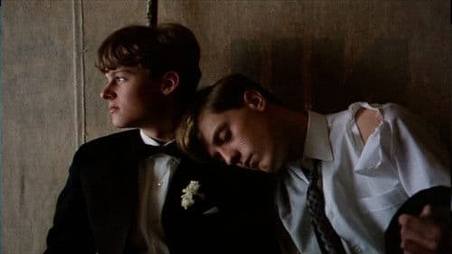 Twist & Shout Bild 4