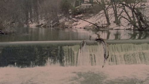 The Winter There Was Very Little Snow Bild 4