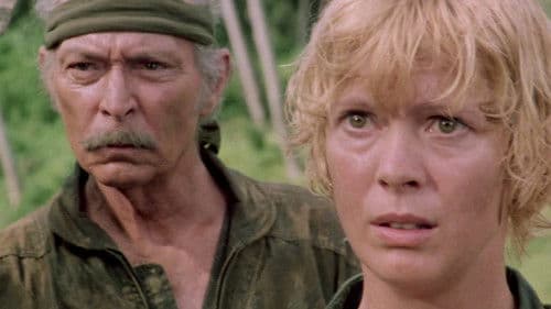 Geheimcode Wildgänse Bild 4