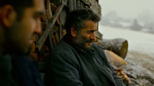 Der wilde Birnbaum Bild 6