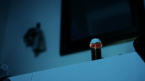 Despite Everything Bild 8