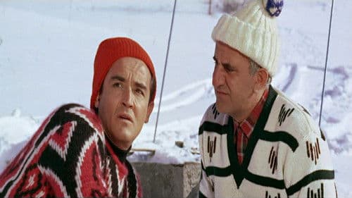 So ein Windhund Bild 2