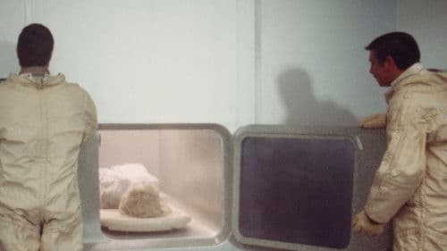 Live Again, Die Again Bild 2