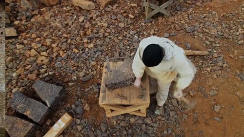 Going Medieval Bild 8