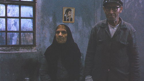 طبیعت بی‌جان Bild 2