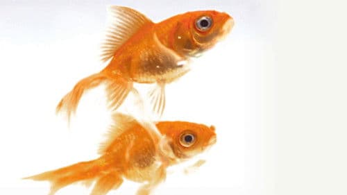 This is Water Bild 1