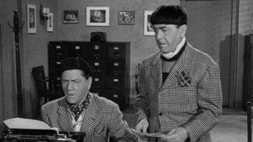 Studio Stoops Bild 1