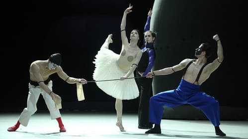 Bolshoi Ballet: Carmen Suite / Petrushka Bild 3