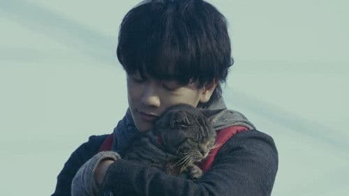 世界から猫が消えたなら Bild 8