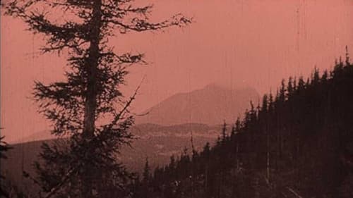 Castele misterioase din Carpați Bild 1