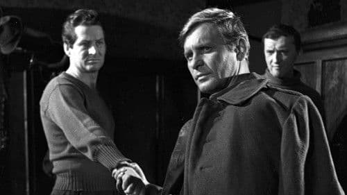 Pierwszy dzień wolności Bild 2