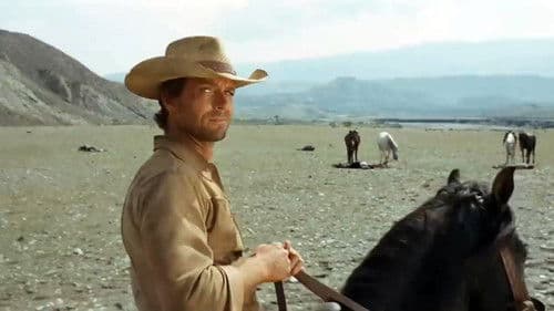 Django - Ich will ihn tot Bild 3