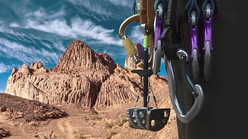 Les Trois Thés En Algérie Bild 1