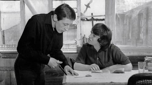 Bitterer Honig Bild 4