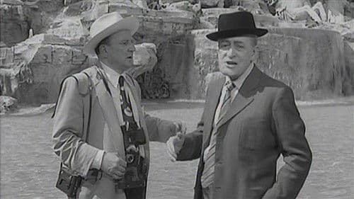 Totòtruffa '62 Bild 2