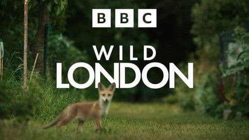 Wild London Bild 1