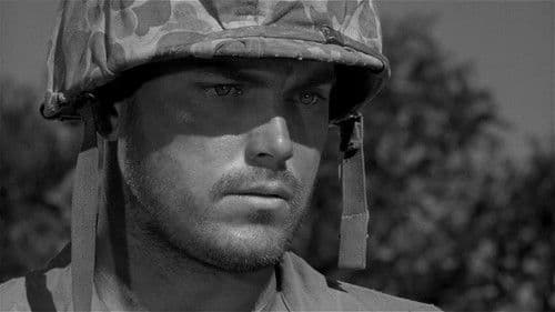 Stoßtrupp Saipan Bild 3