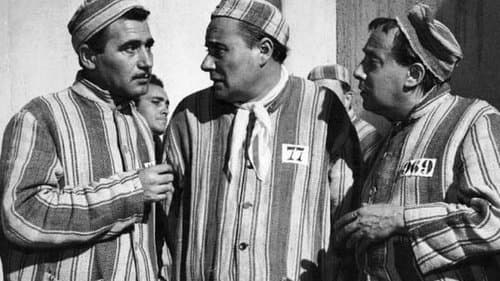 Ein Haus voller Unschuldslämmer Bild 1