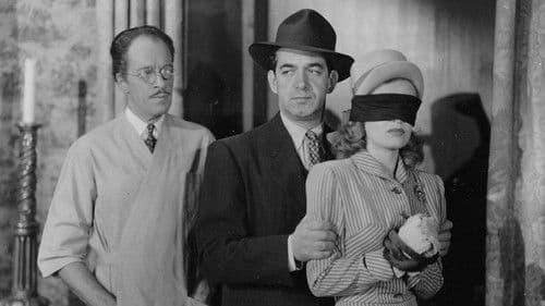 The Black Widow Bild 1