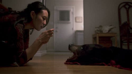 Circle of Steel Bild 4