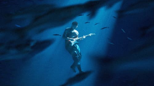 Đàn Cá Gỗ Bild 2