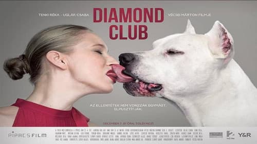 Diamond Club Bild 1