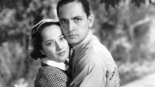 Der Weg im Dunkel Bild 8