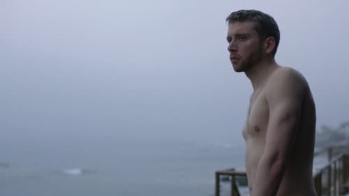 You Say Hello Bild 1