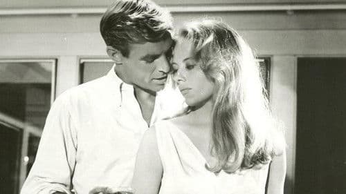 Shadow Over Elveron Bild 1