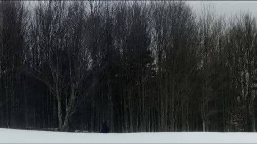 The Harbinger - Träume des Grauens Bild 2