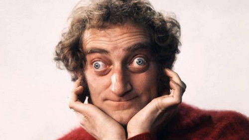 The Marty Feldman Comedy Machine Bild 1
