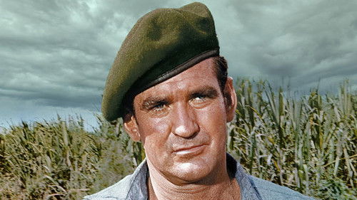 Die Zeitbombe Bild 2