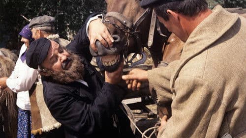 Gorzka miłość Bild 7