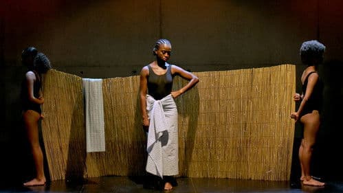 Rosinha e Outros Bichos do Mato Bild 5