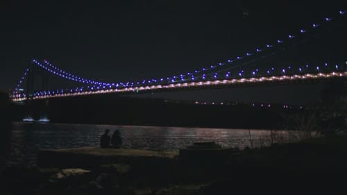 The Night Of - Die Wahrheit einer Nacht Bild 8